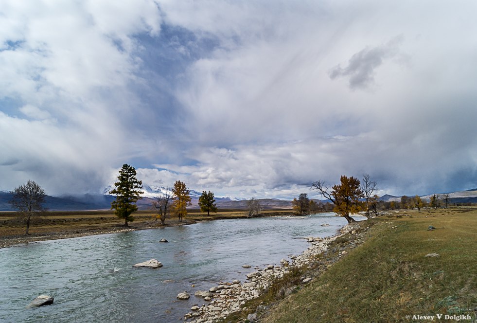 Золотая осень на Алтае. Река Чуя.